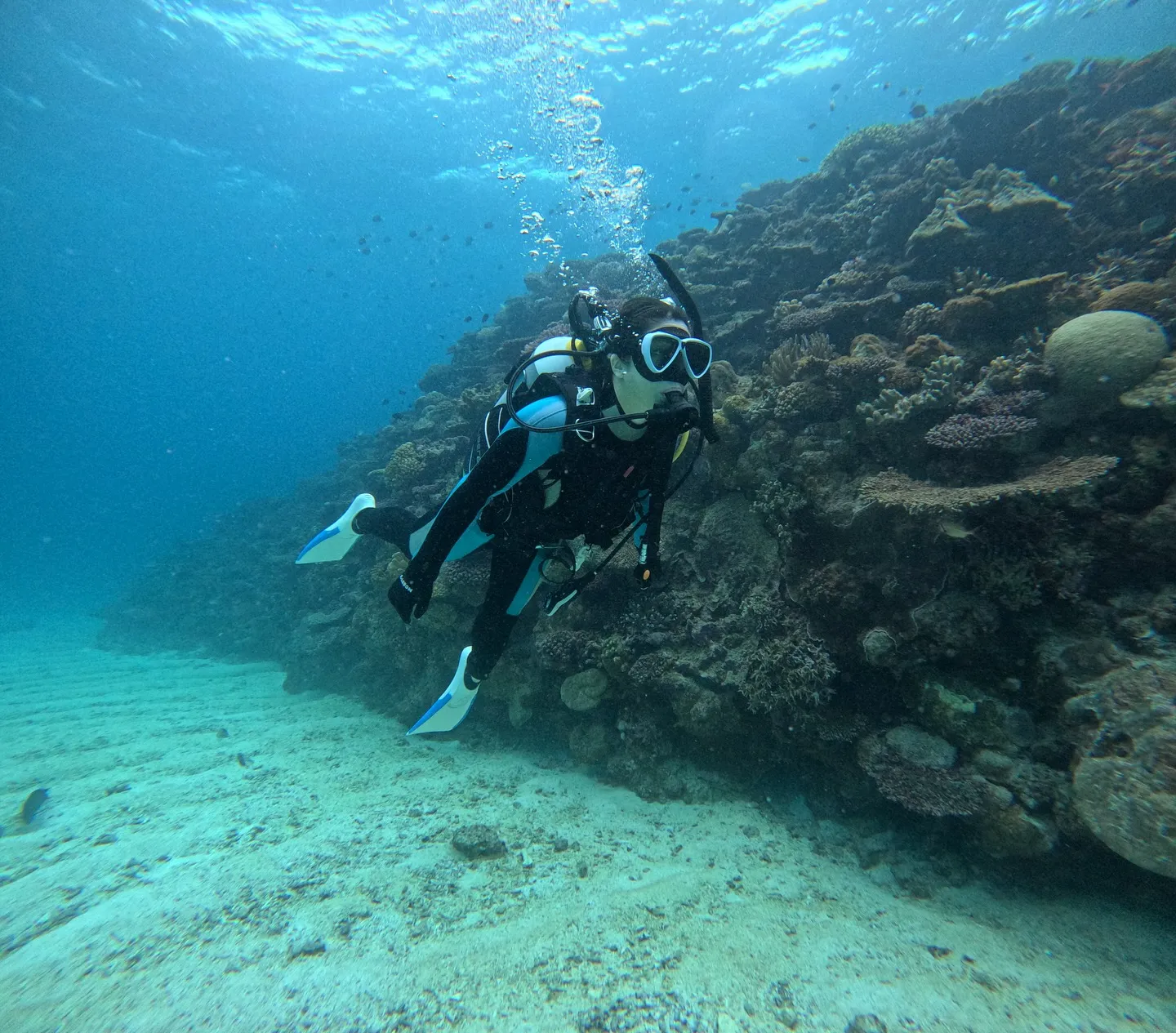 瀬底島ファンダイビング