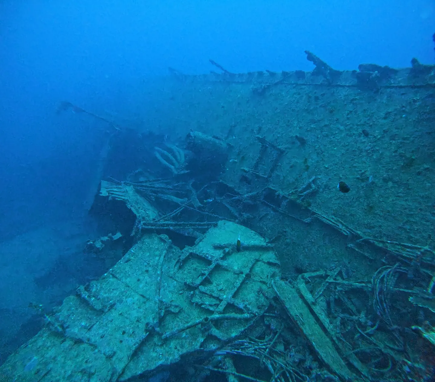 エモンズダイビング