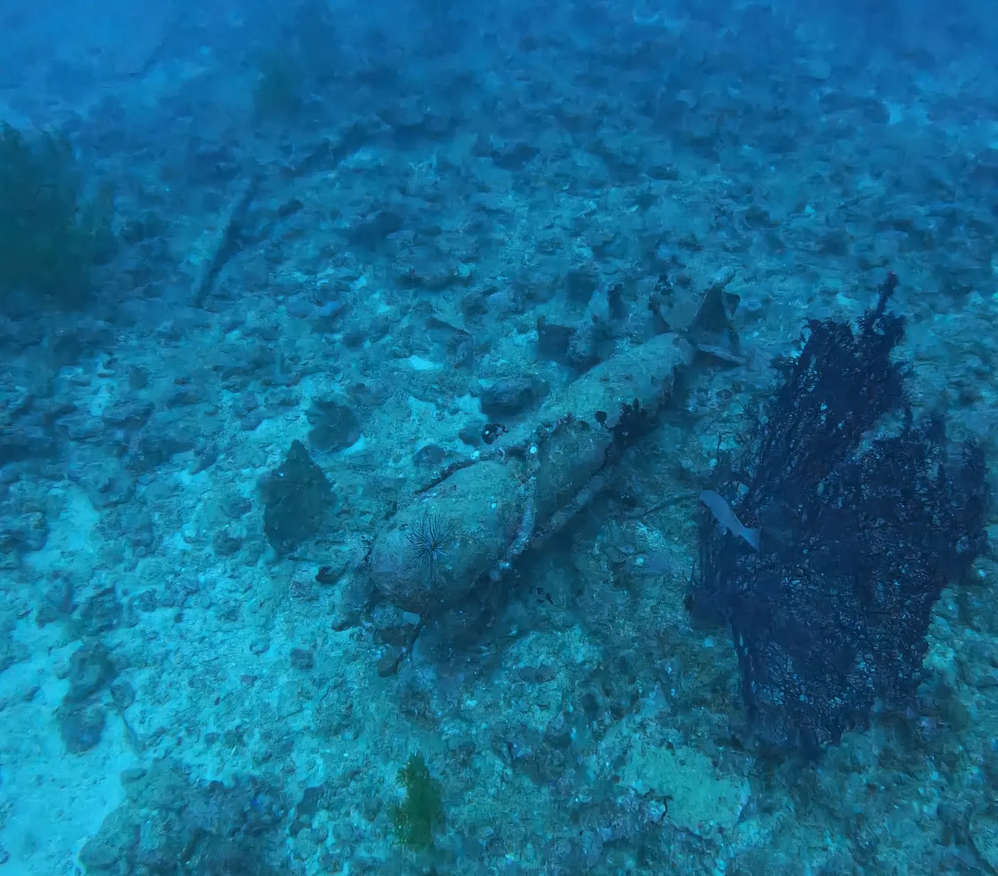 エモンズダイビング