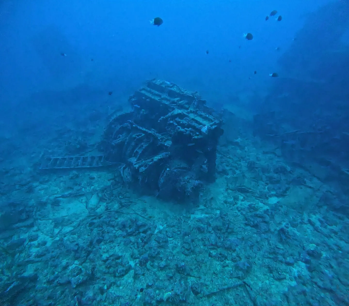 エモンズダイビング