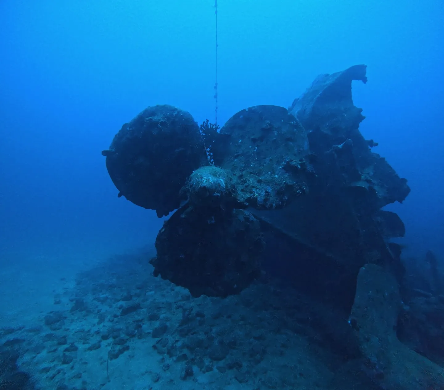 エモンズダイビング