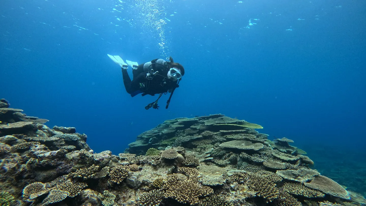 瀬底島ダイビング