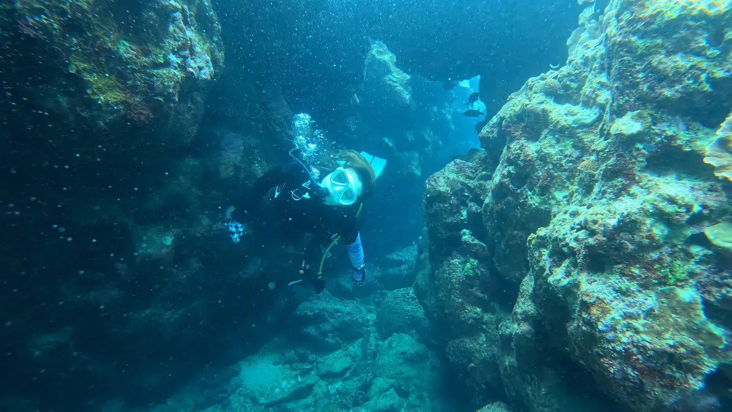 瀬底島ダイビング