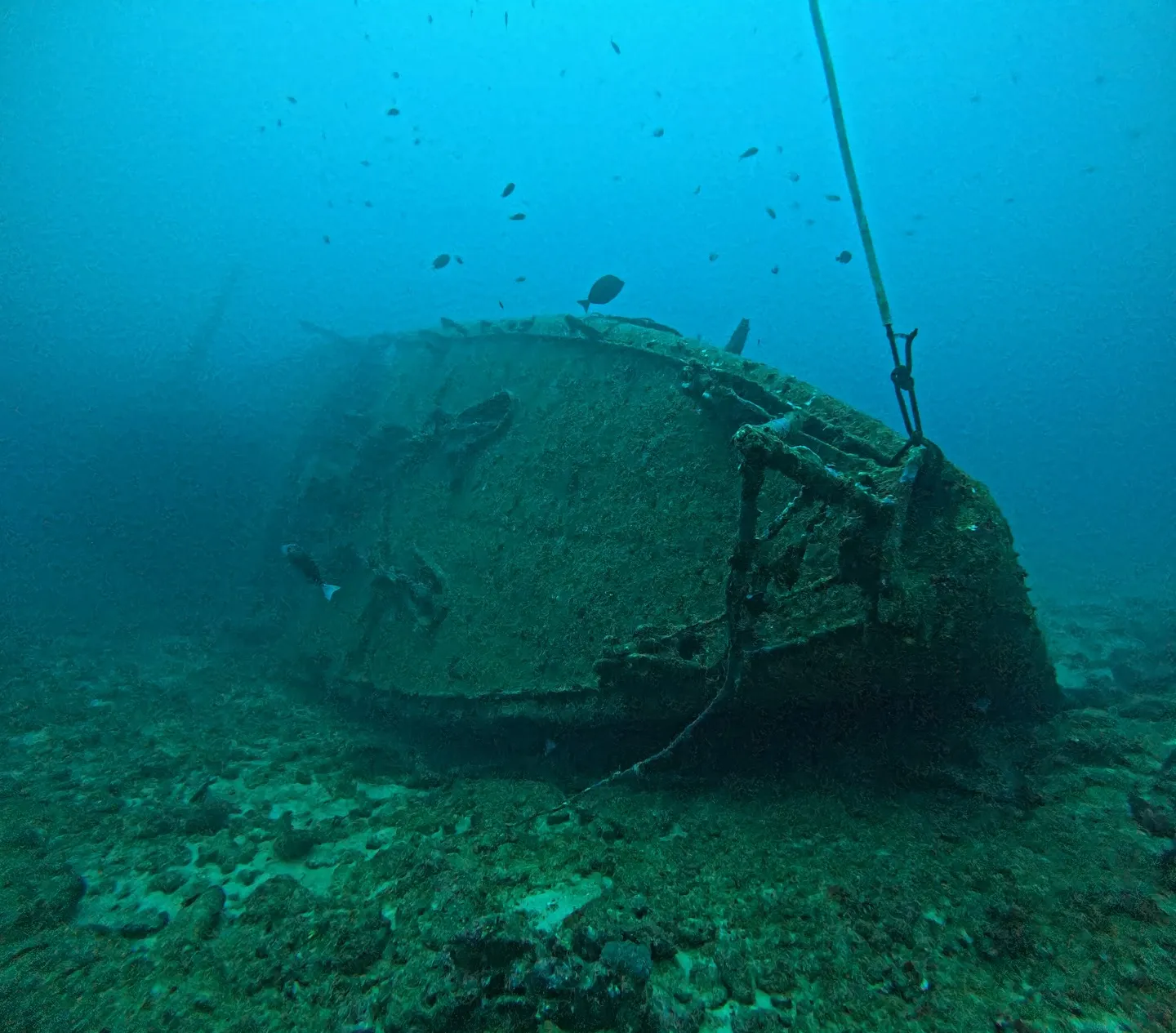 エモンズダイビング