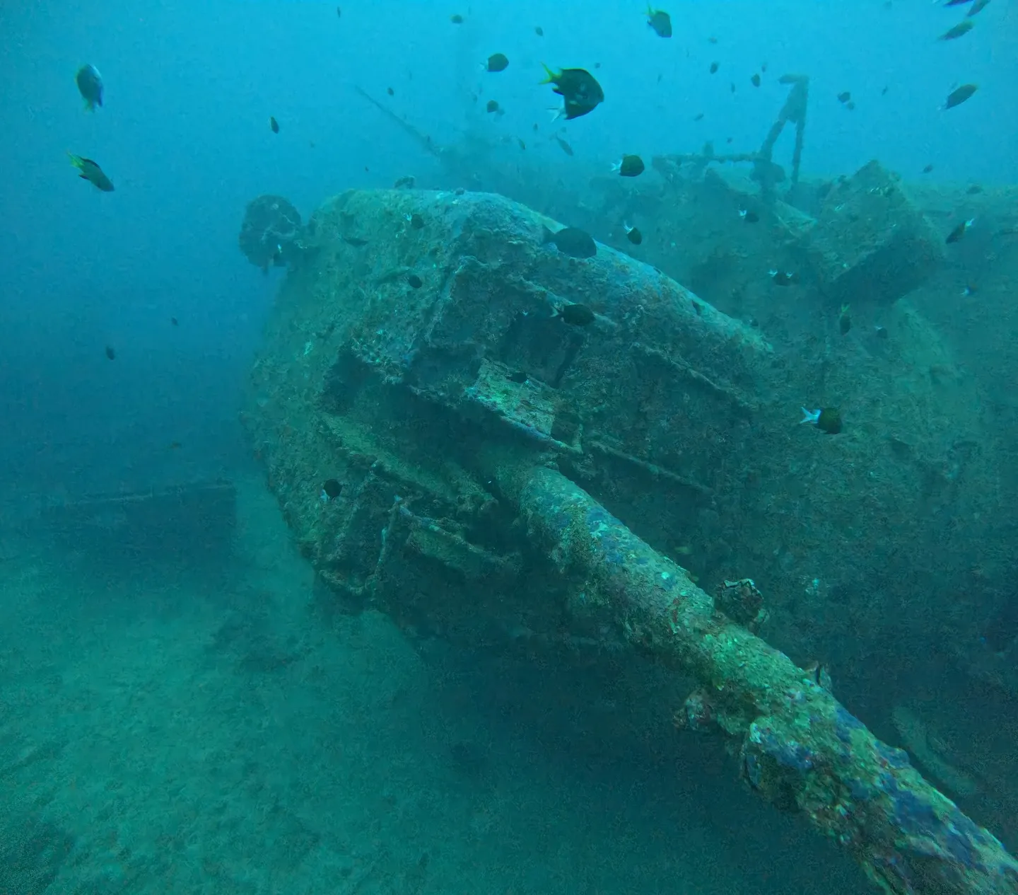 エモンズダイビング