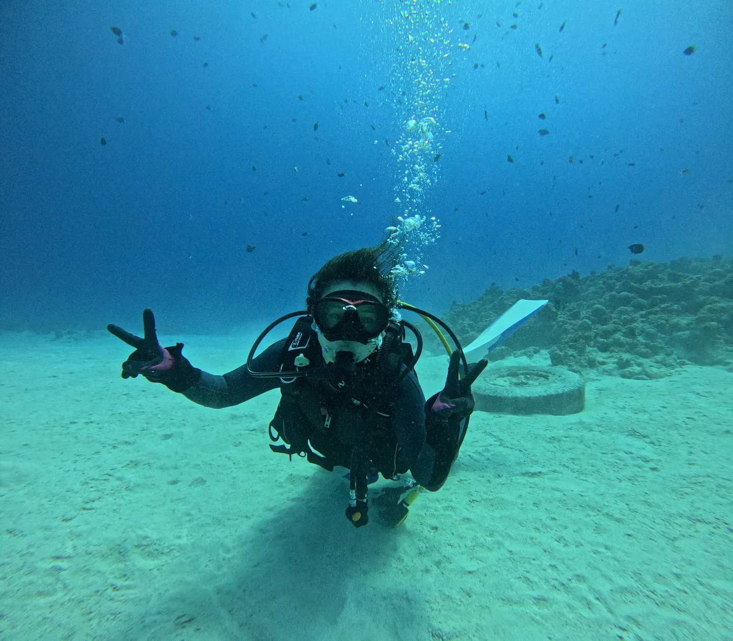 水納島ダイビング