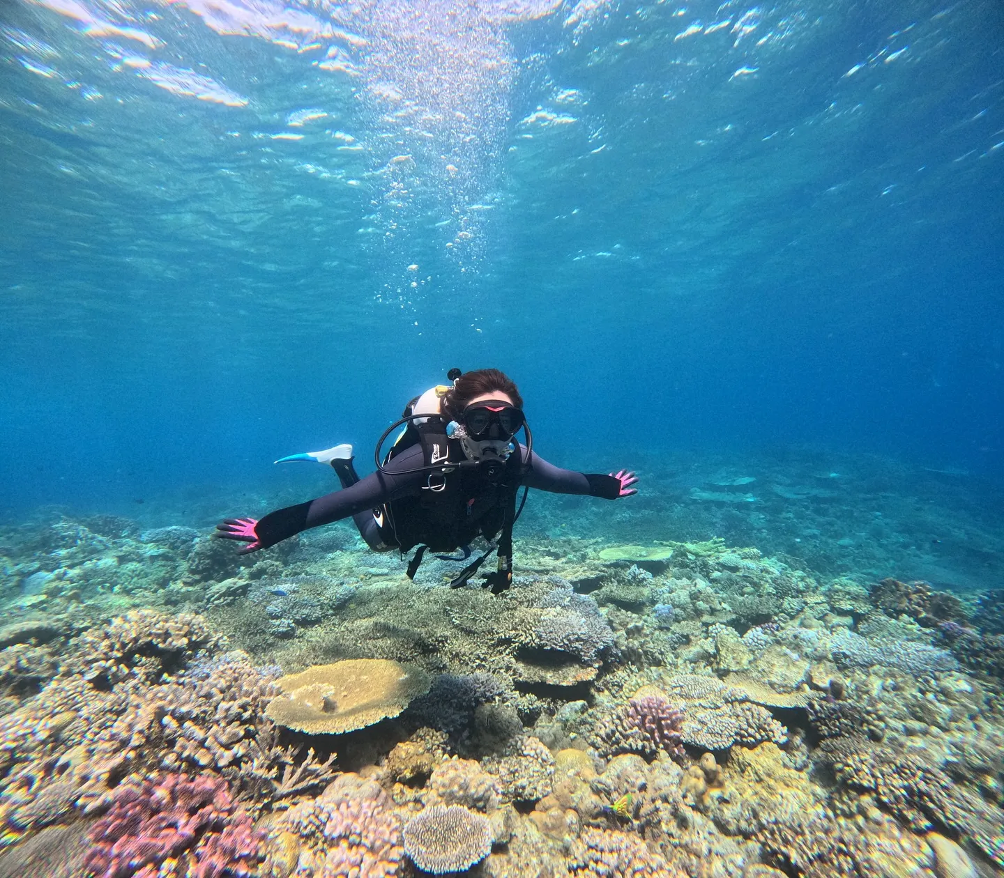 水納島ダイビング
