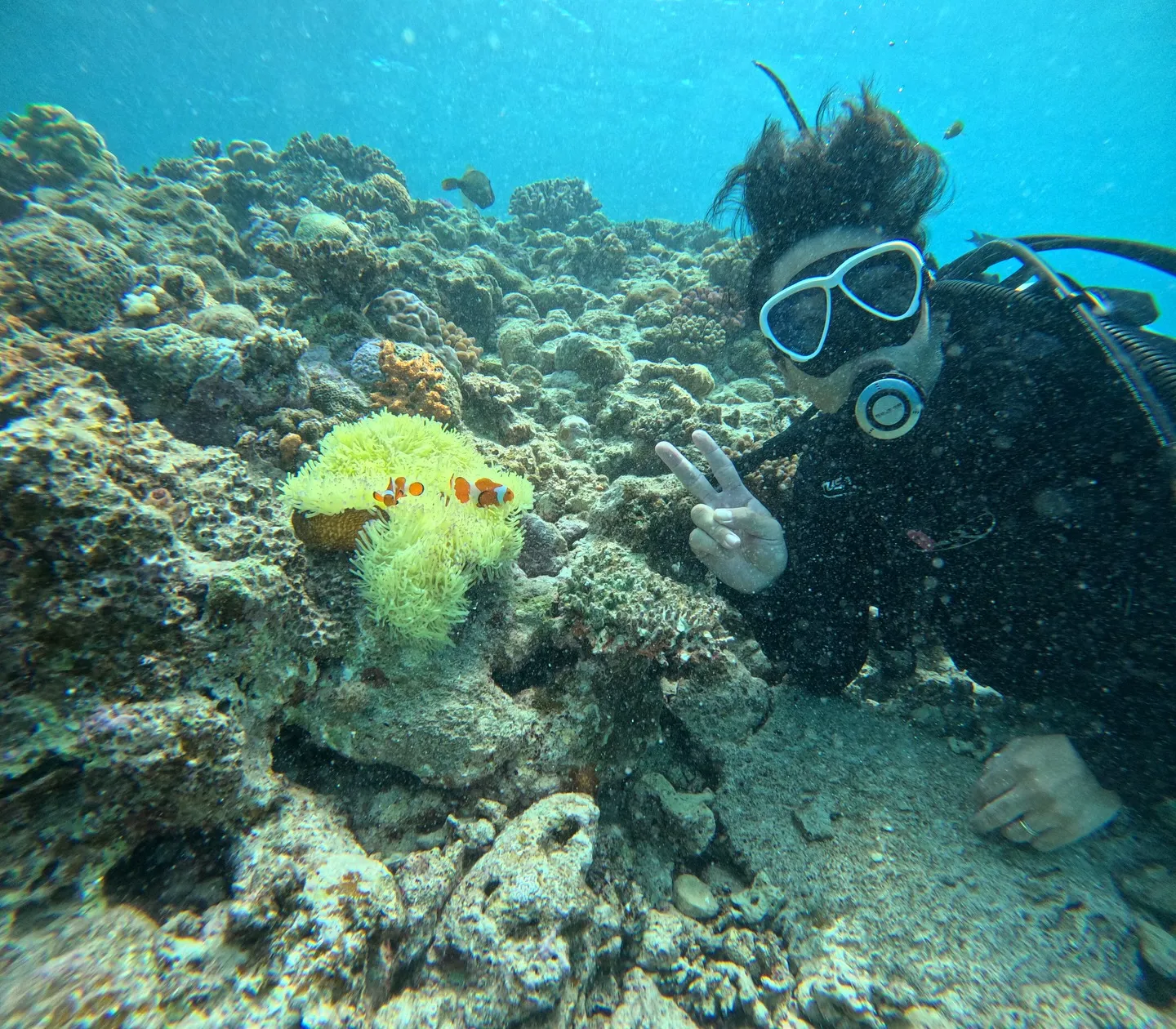 水納島ダイビング