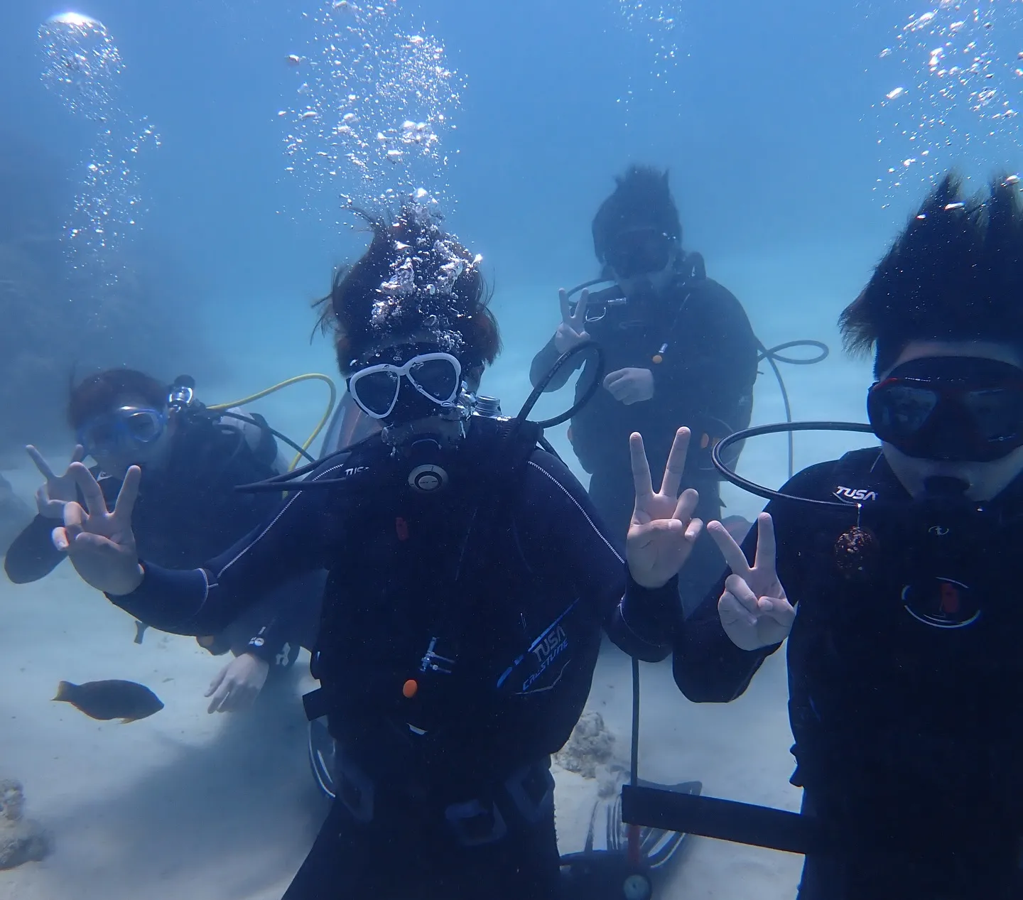 ライセンス講習