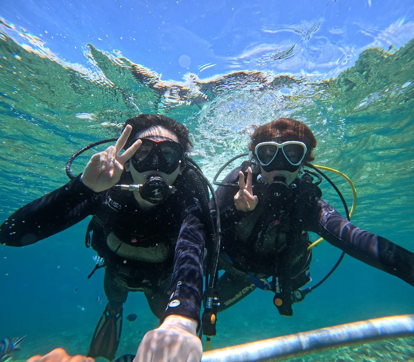 瀬底島体験ダイビング