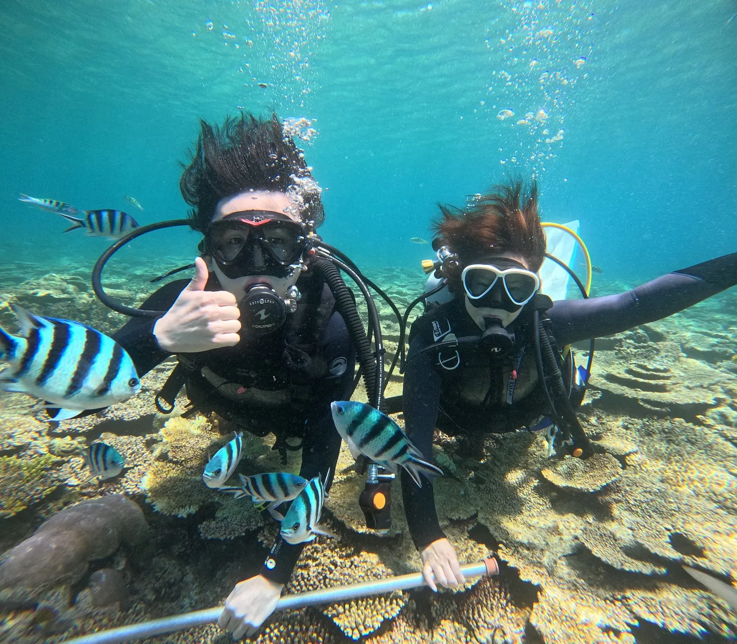 瀬底島体験ダイビング