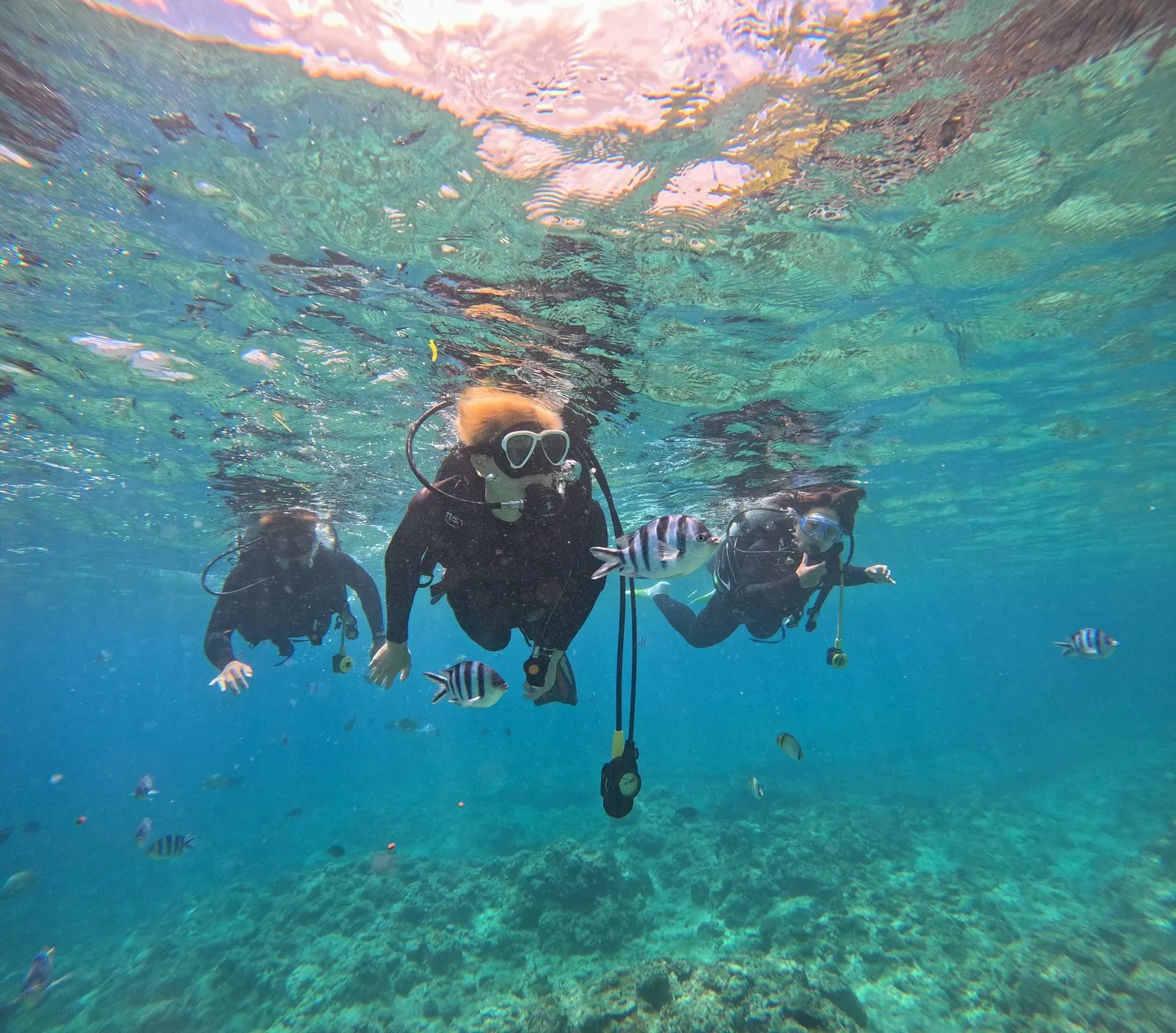 ライセンス講習