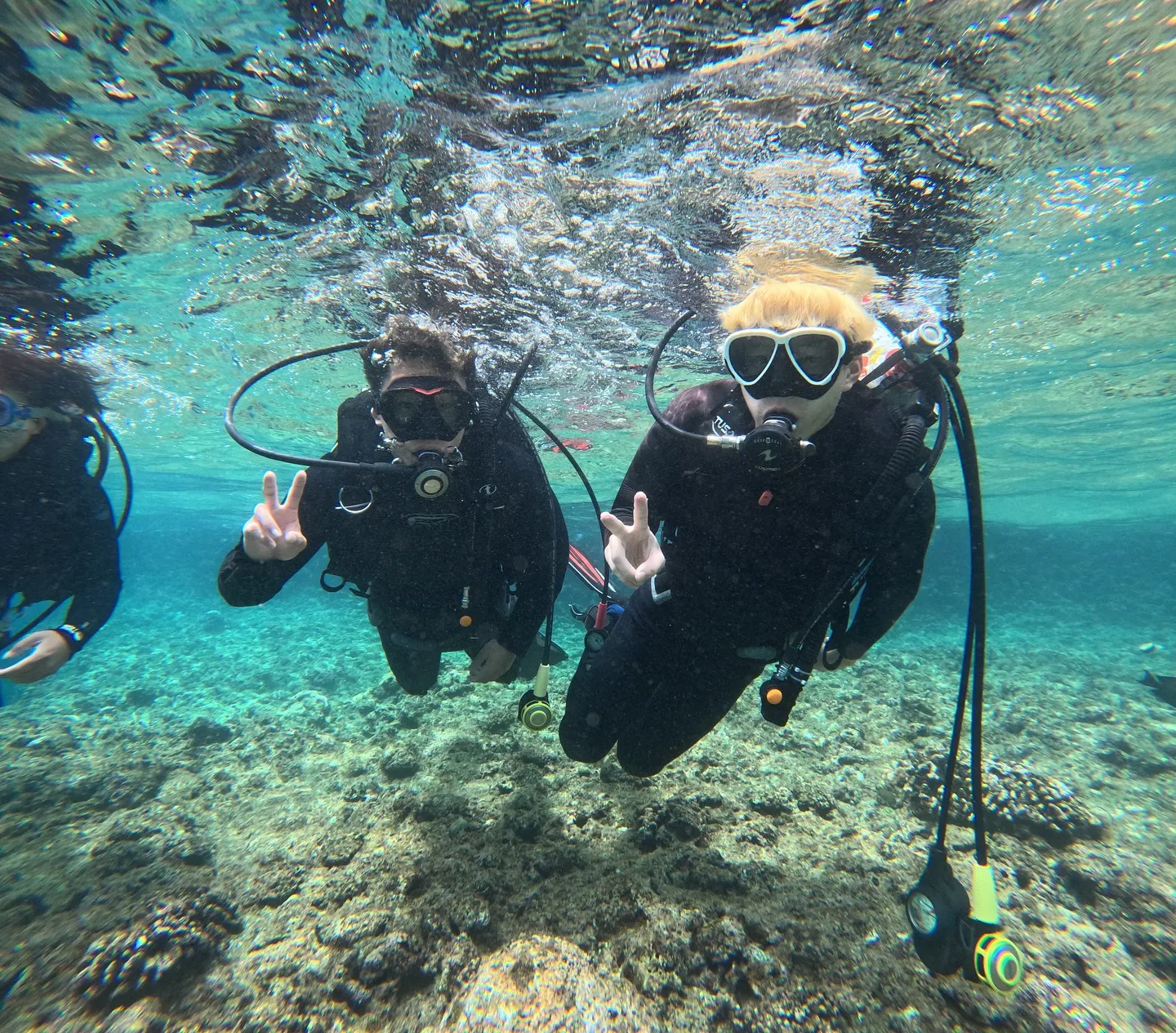 ライセンス講習