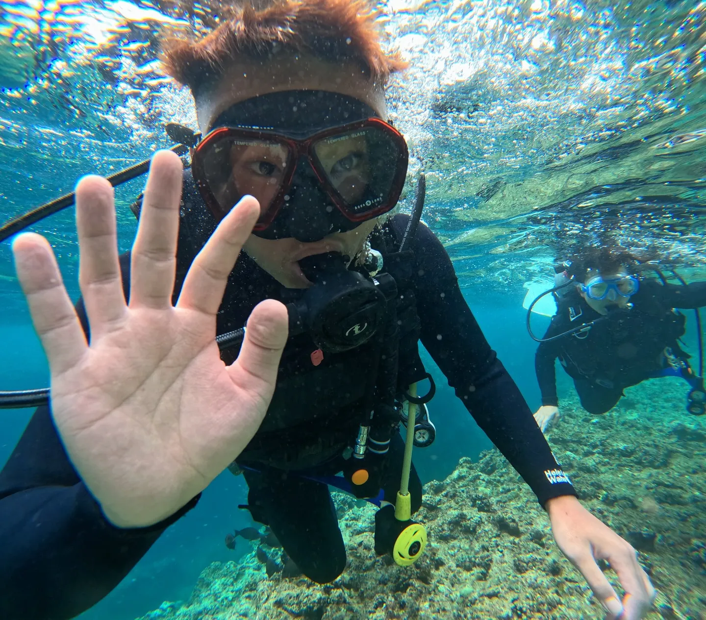 ライセンス講習