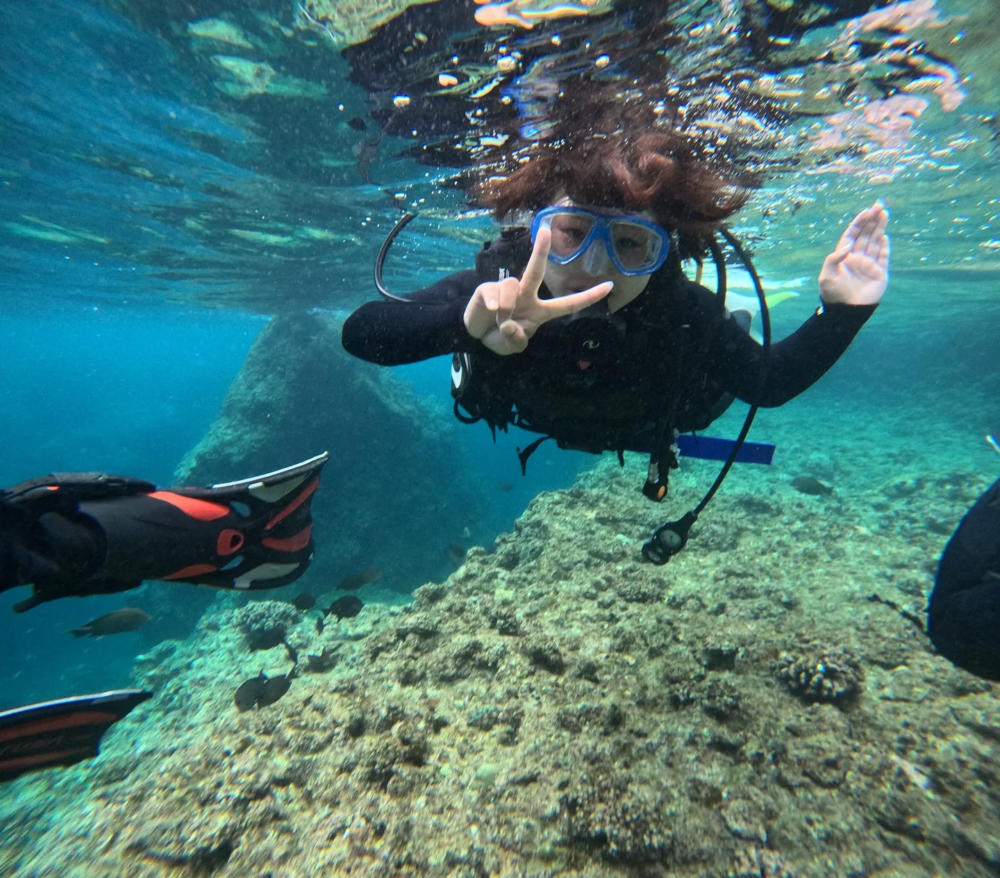 ライセンス講習