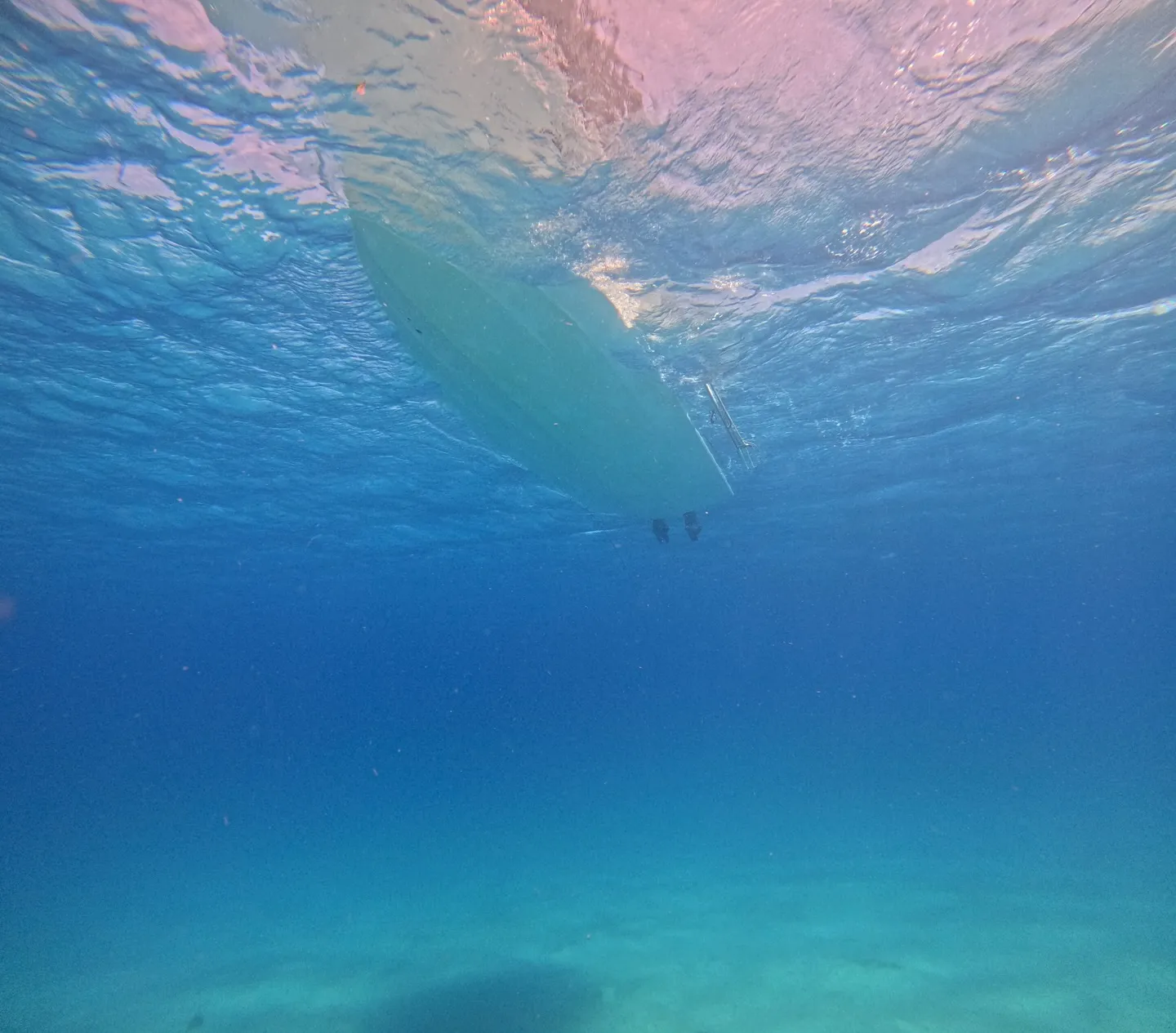 今帰仁ダイビング