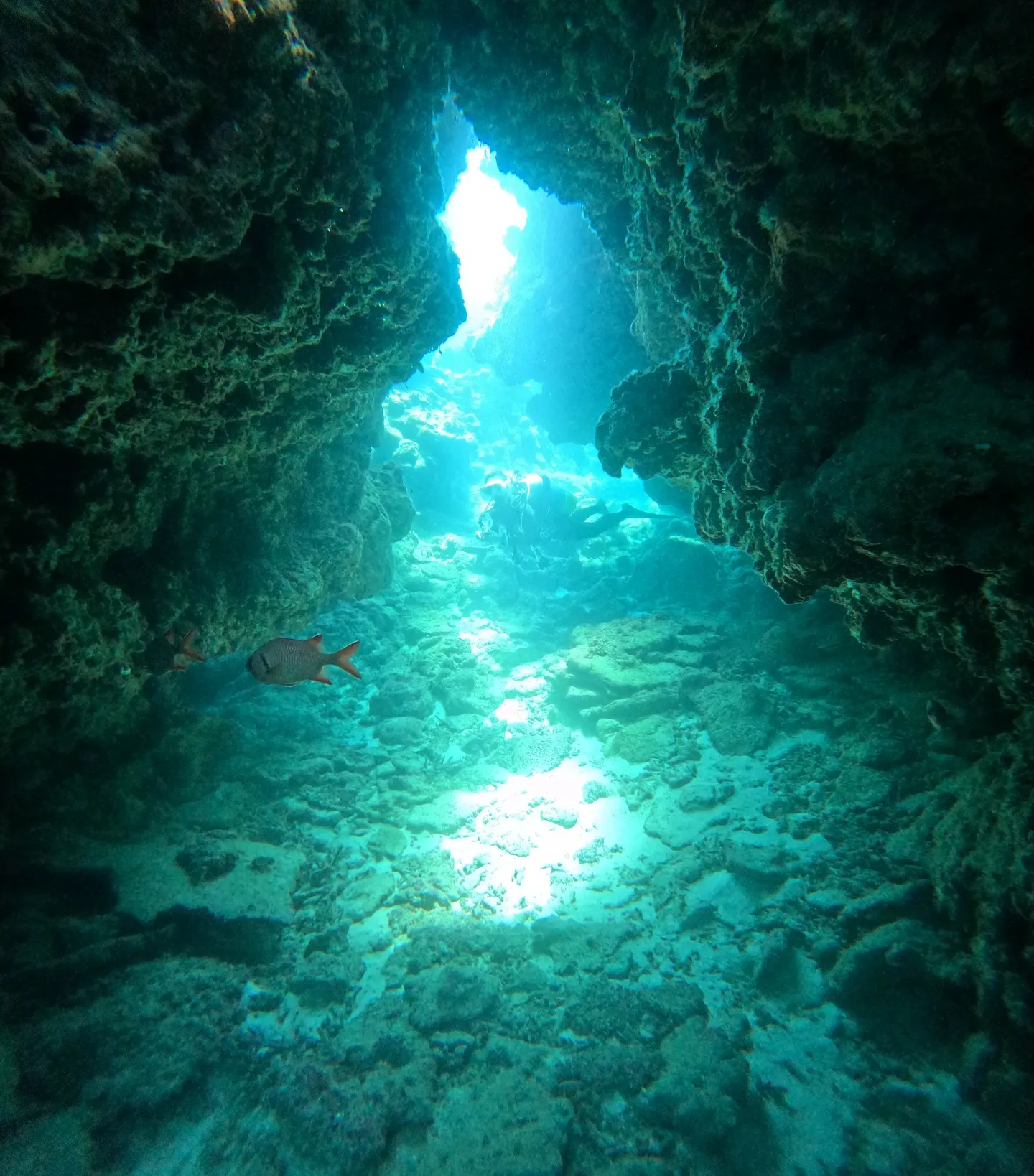 瀬底島ダイビング