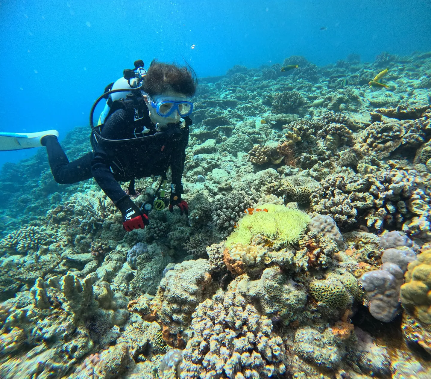 水納島ダイビング