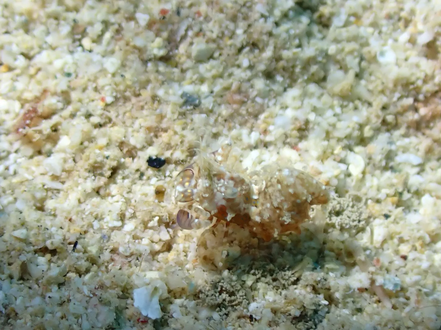 ゴリラチョップダイビング