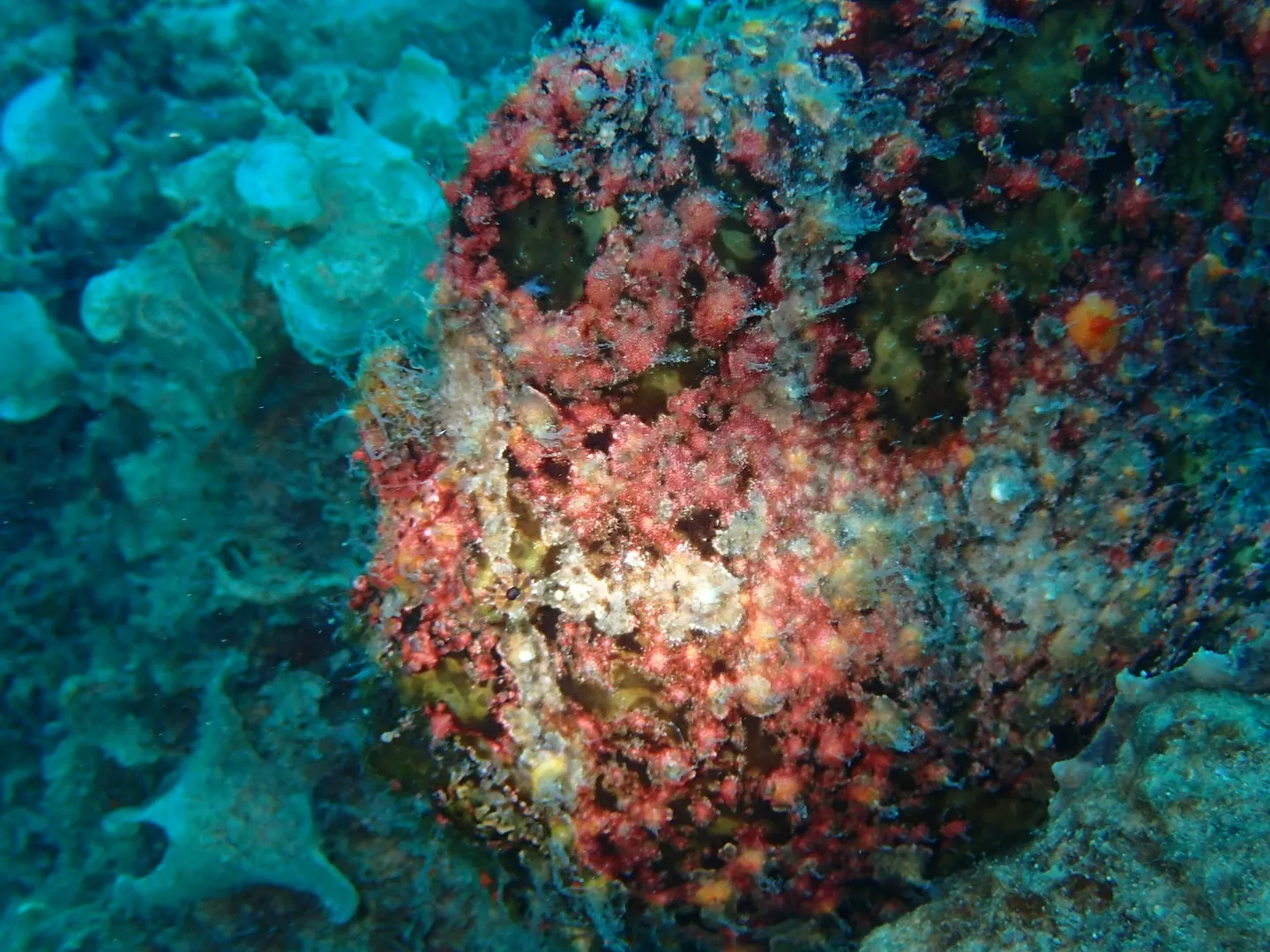 ゴリラチョップダイビング