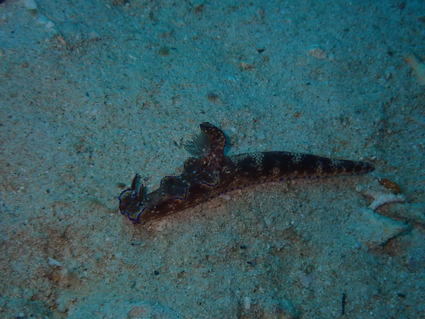 ゴリラチョップダイビング