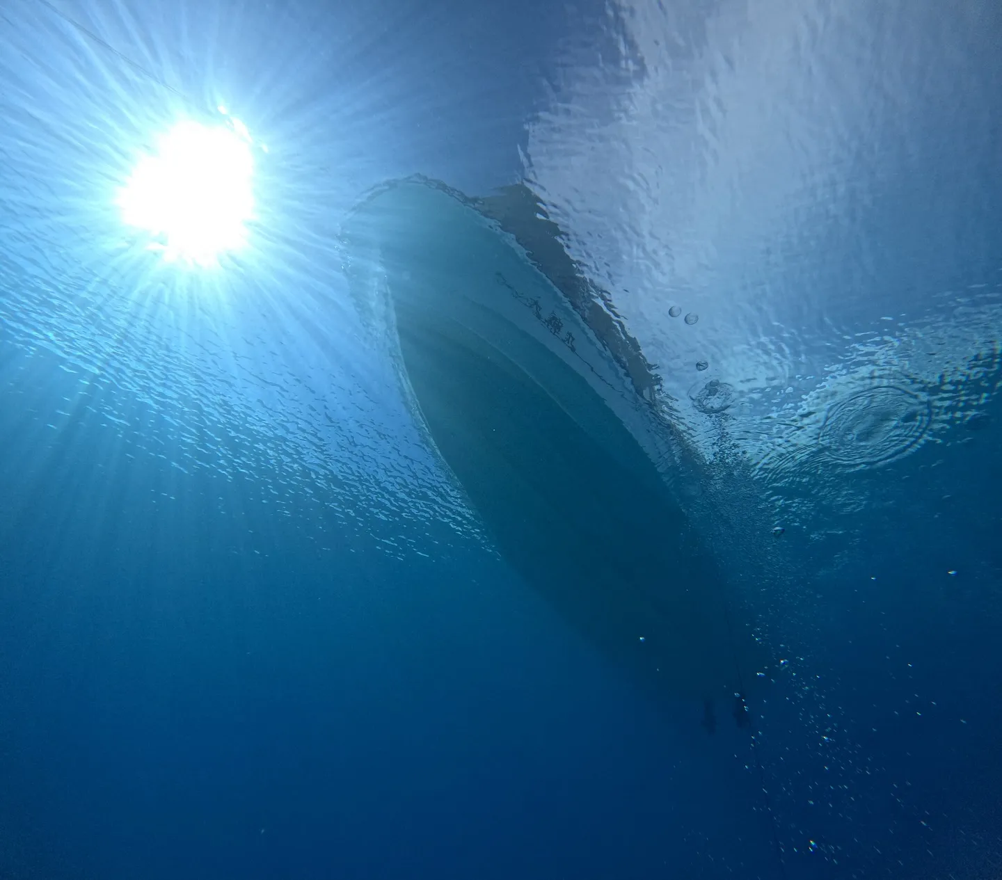 今帰仁ダイビング