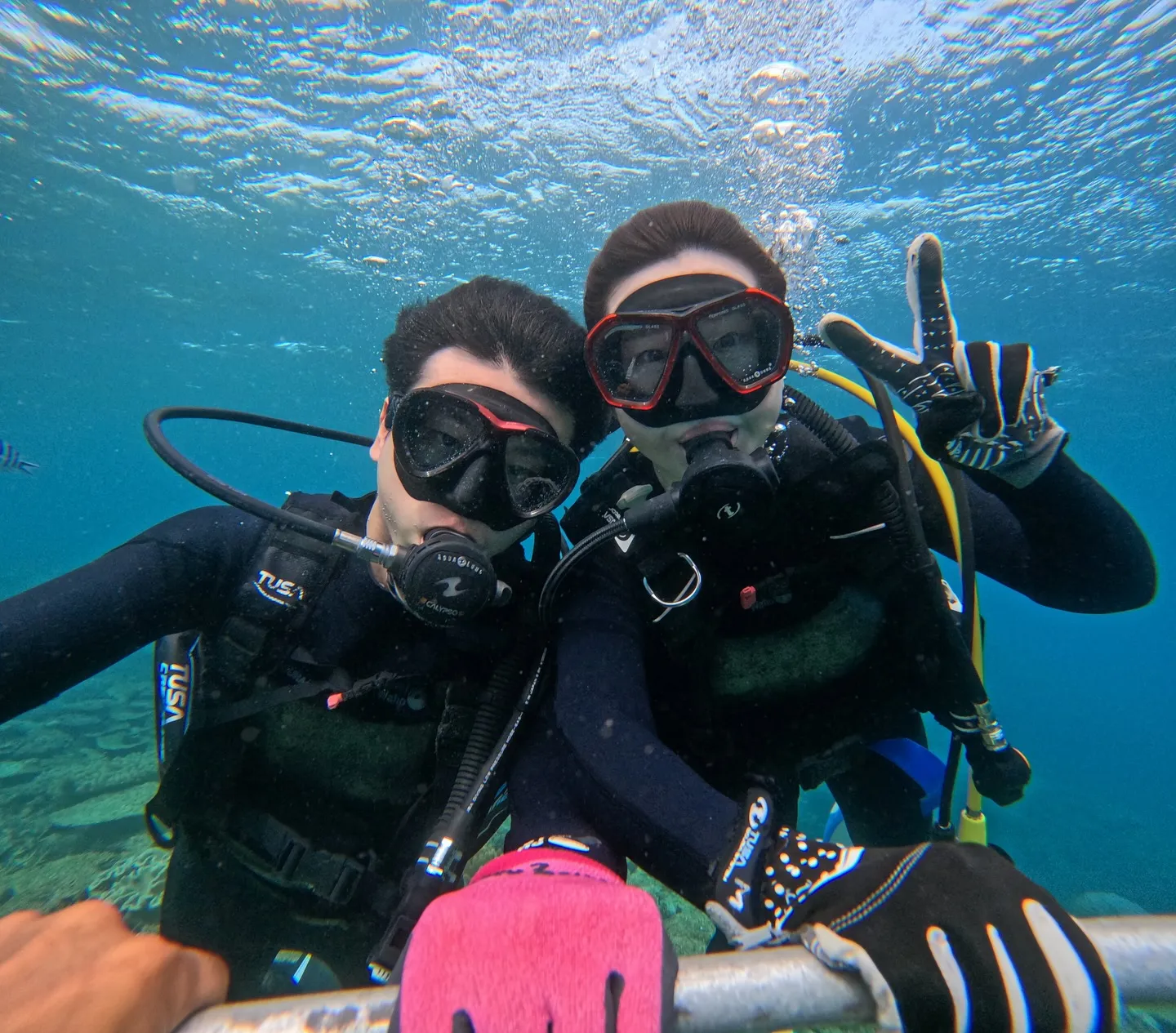 本部体験ダイビング