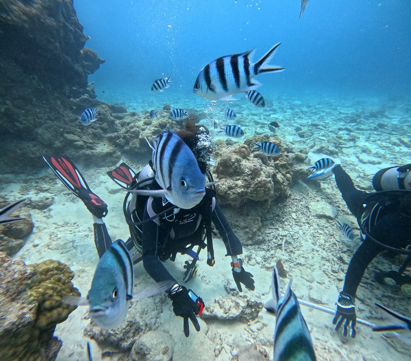 本部体験ダイビング