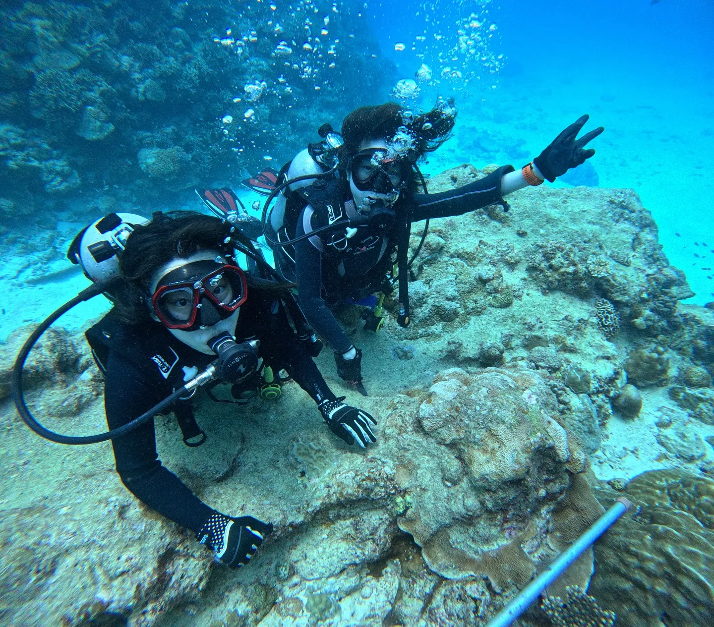 本部体験ダイビング