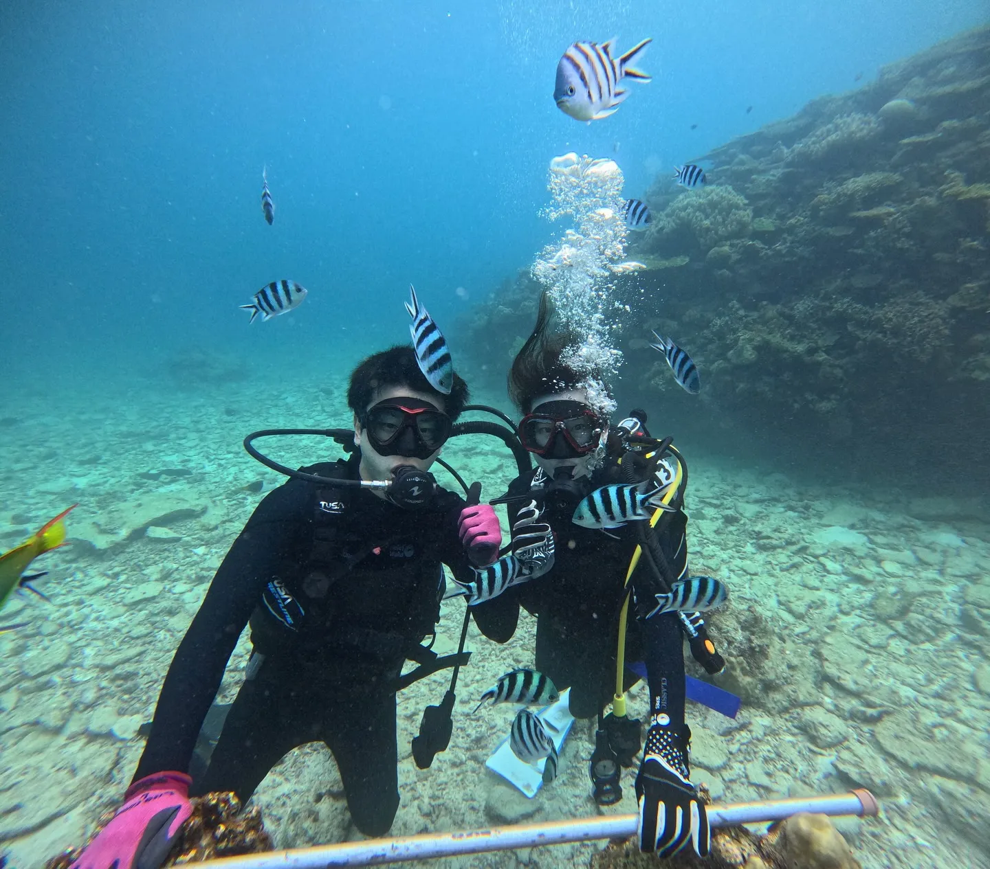 本部体験ダイビング