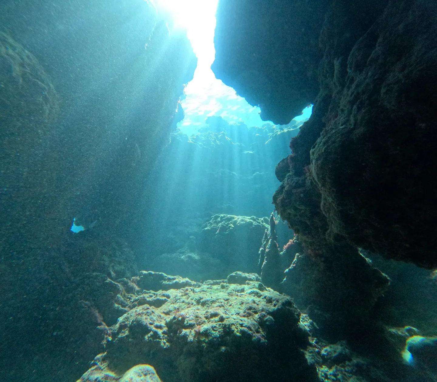 水納島ダイビング