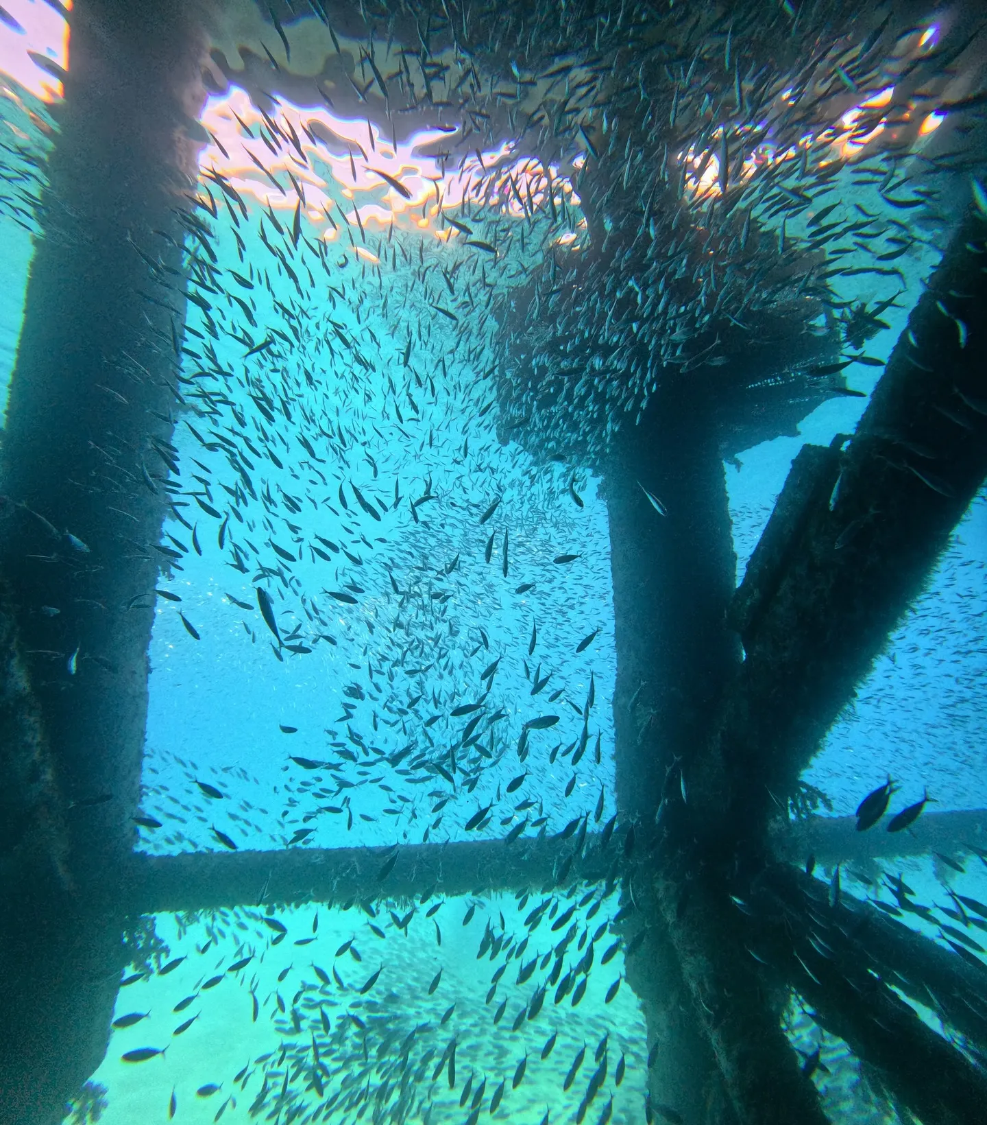 ゴリラチョップダイビング