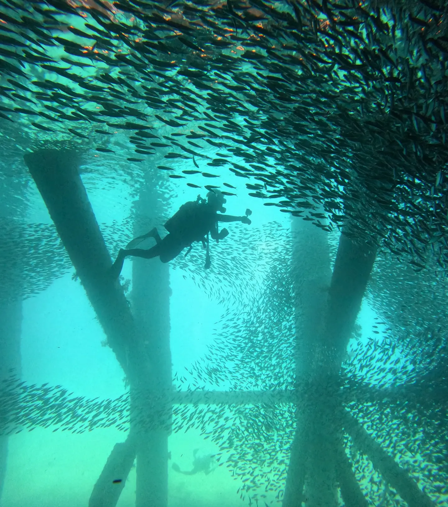 ゴリラチョップダイビング