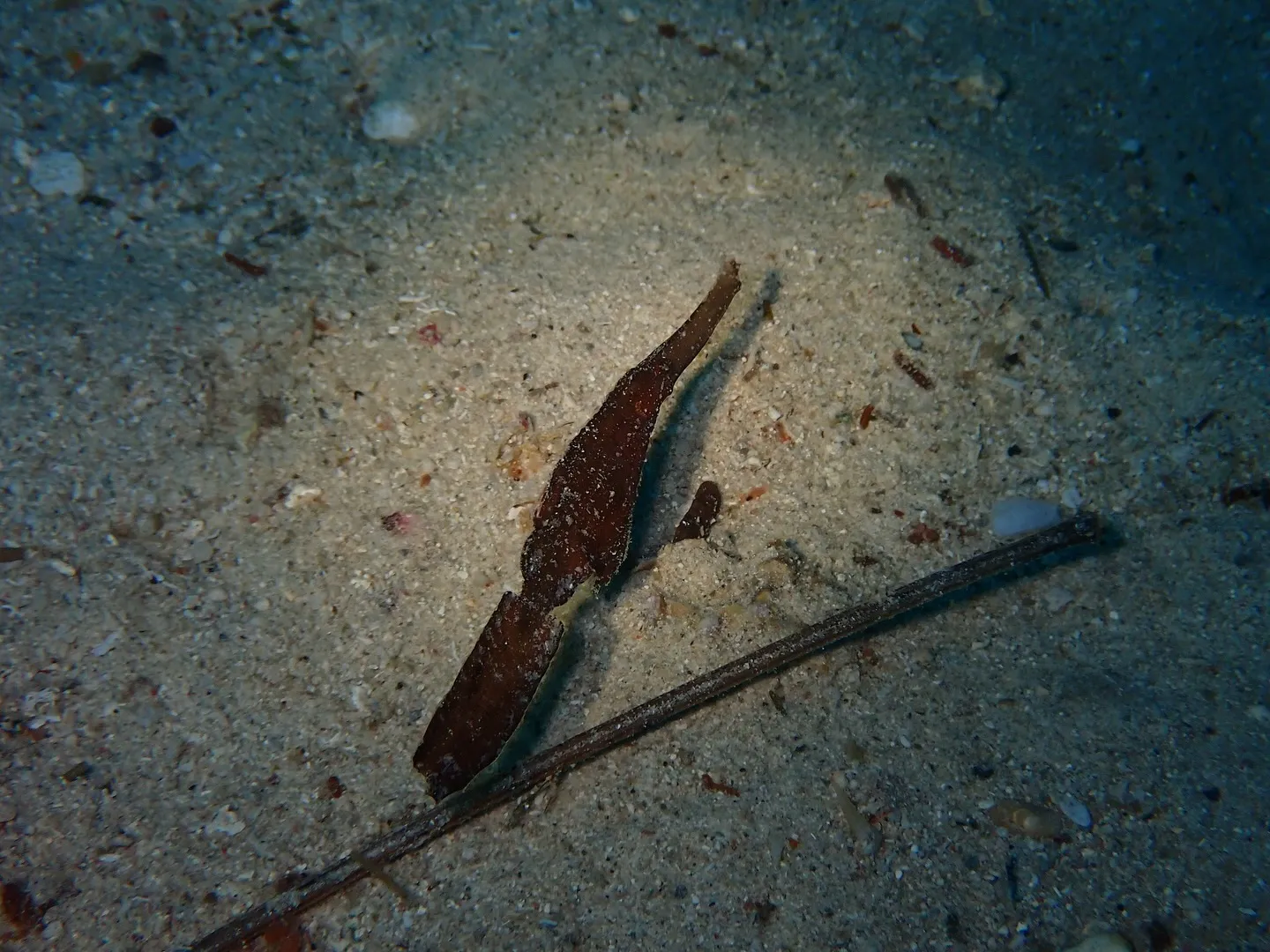 ゴリラチョップダイビング