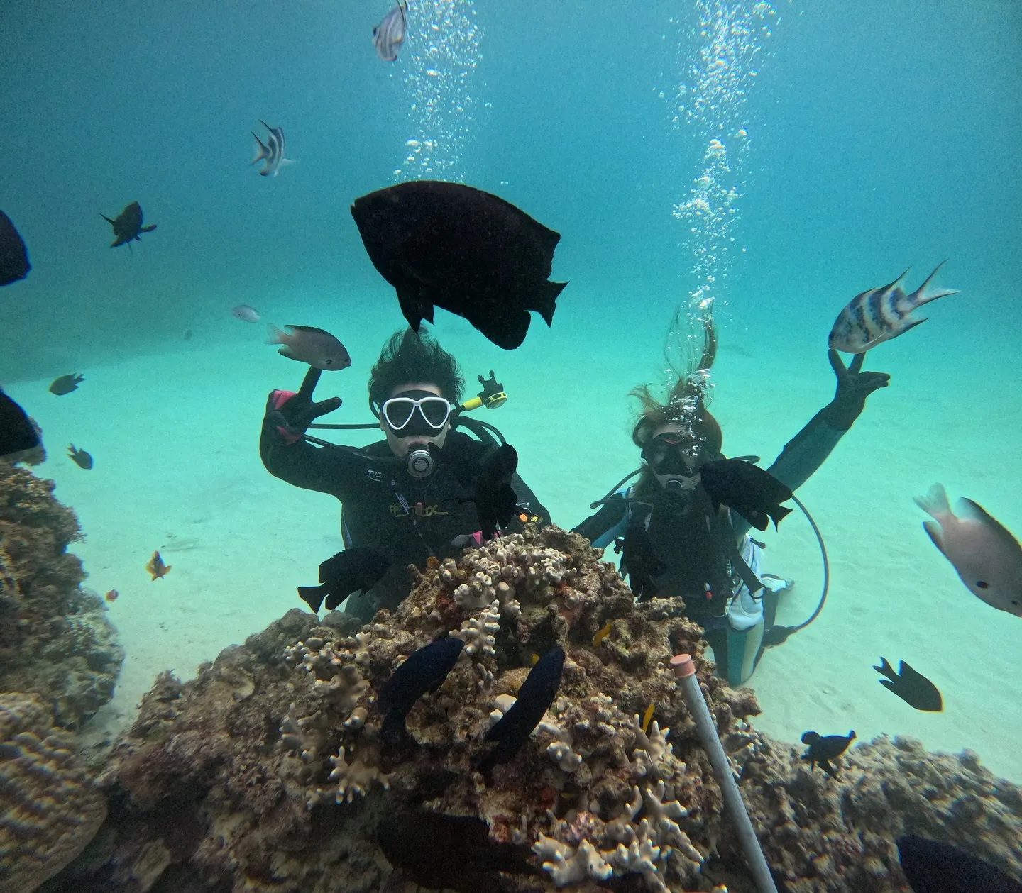 ゴリラチョップダイビング