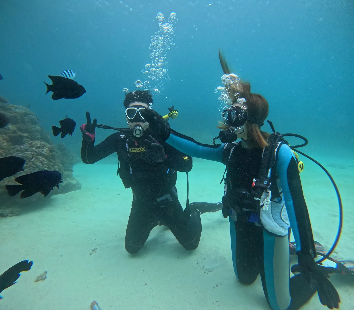 ゴリラチョップダイビング