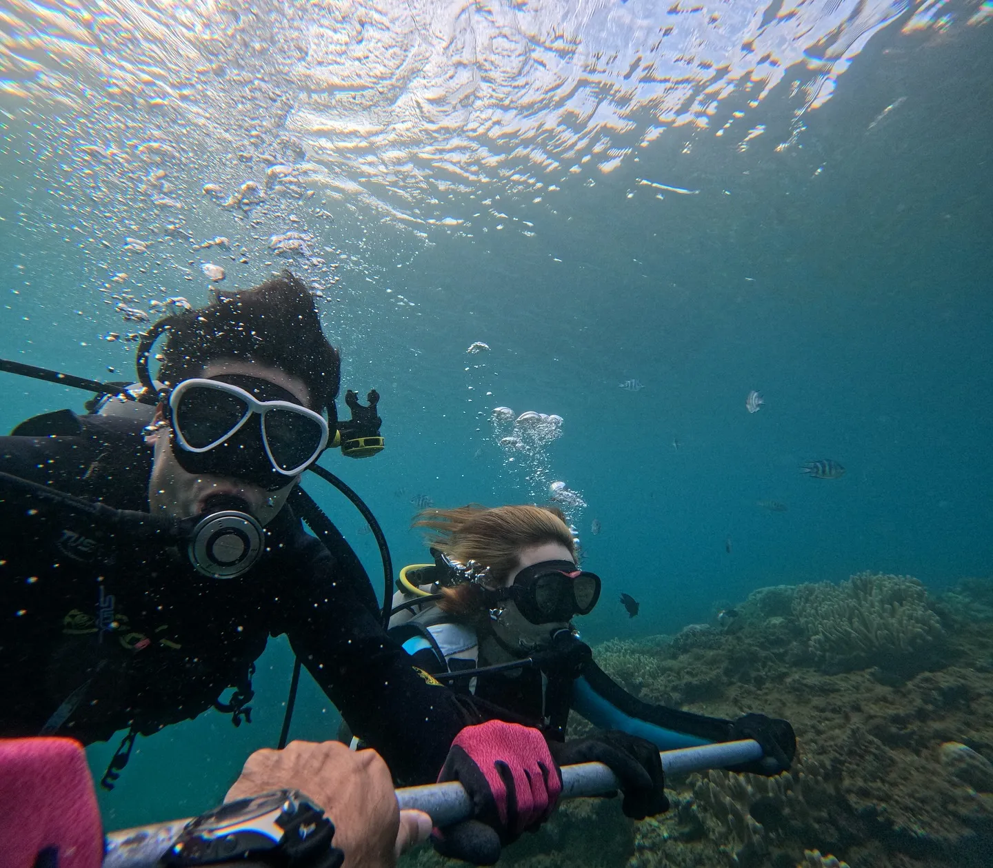 ゴリラチョップダイビング