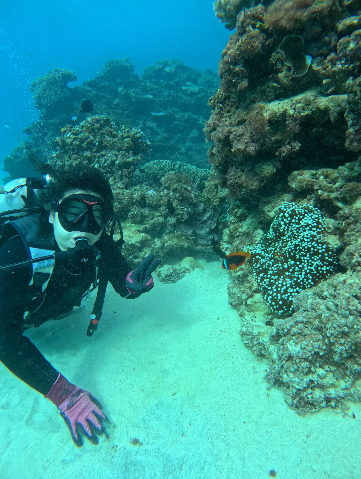 新年1発目は体験ダイビングから🤿