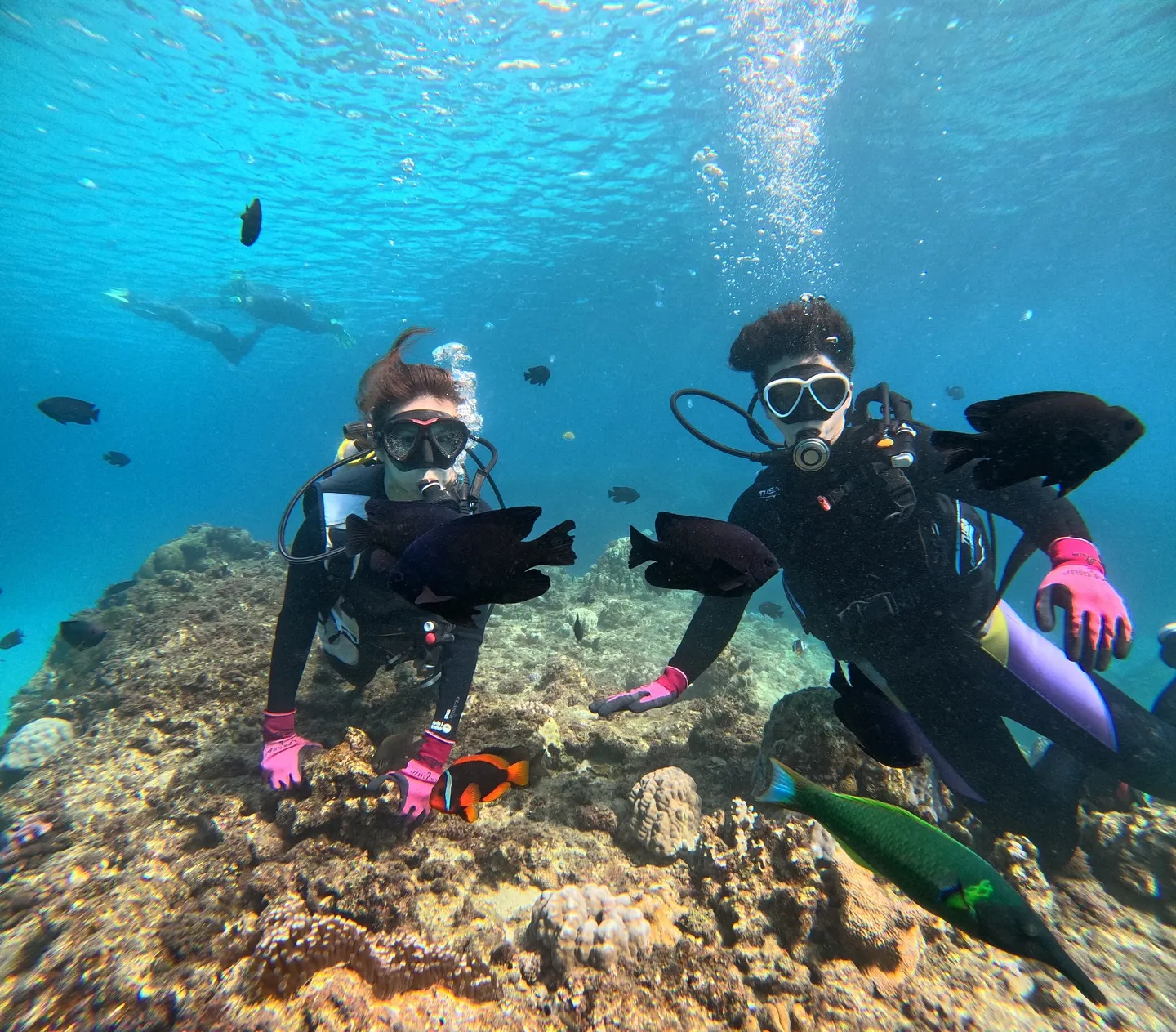 ゴリラチョップダイビング