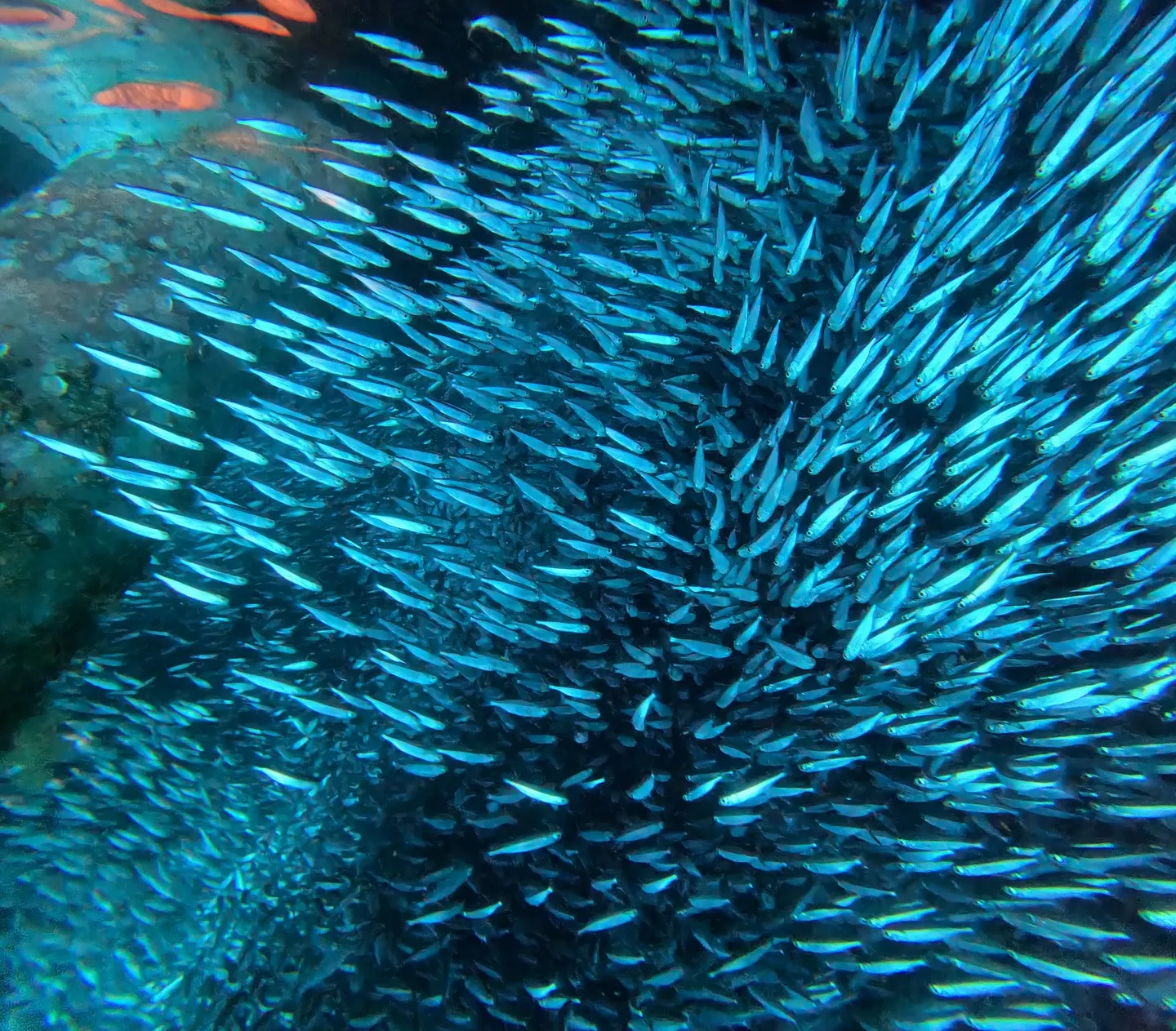 ゴリラチョップダイビング