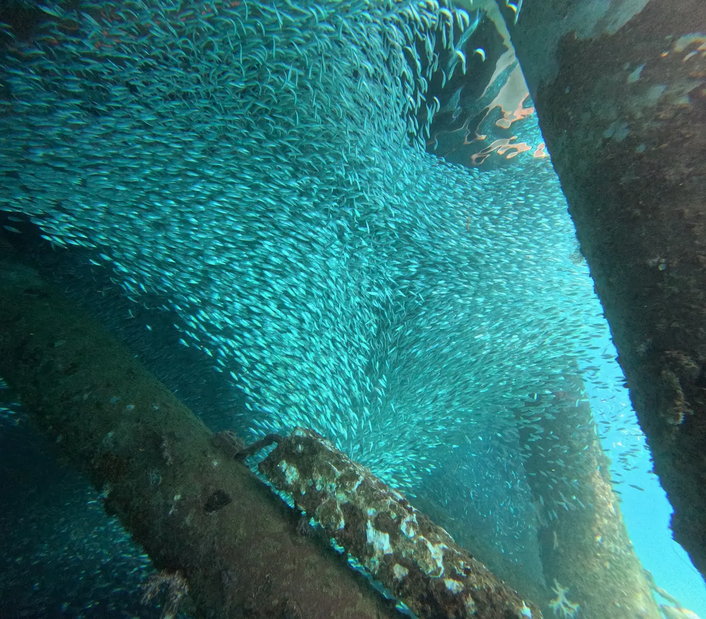 沖縄　体験ダイビング