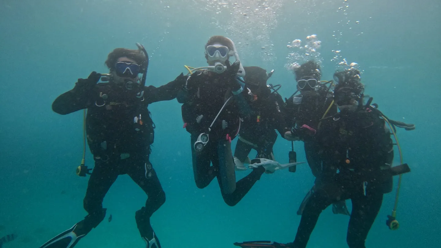 ゴリラチョップダイビング