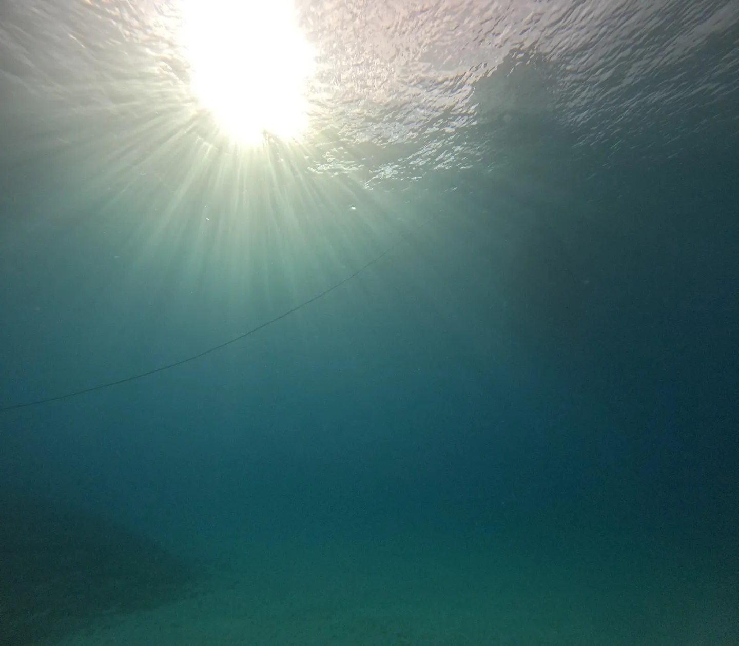 名護ダイビング