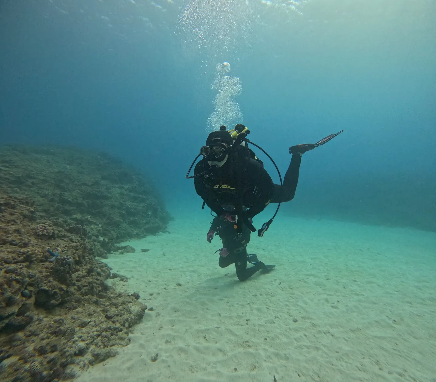 名護ダイビング