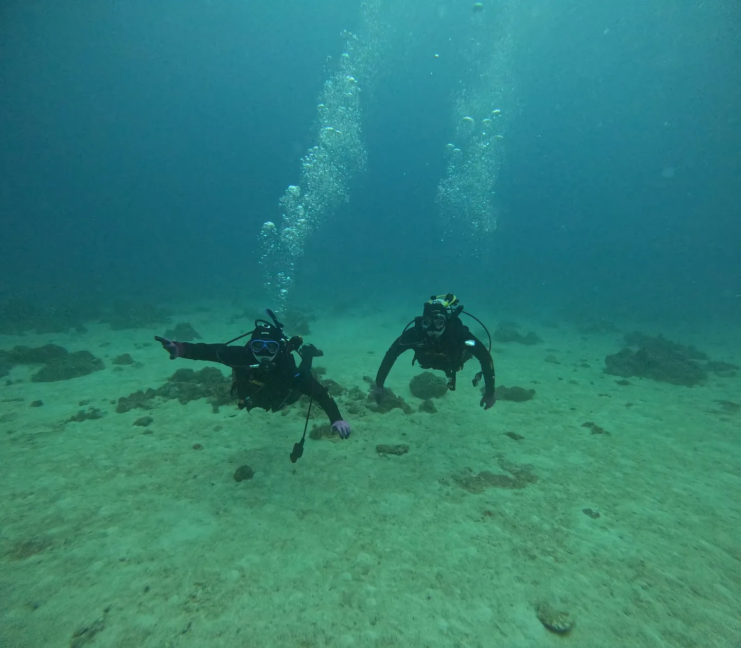 名護ダイビング