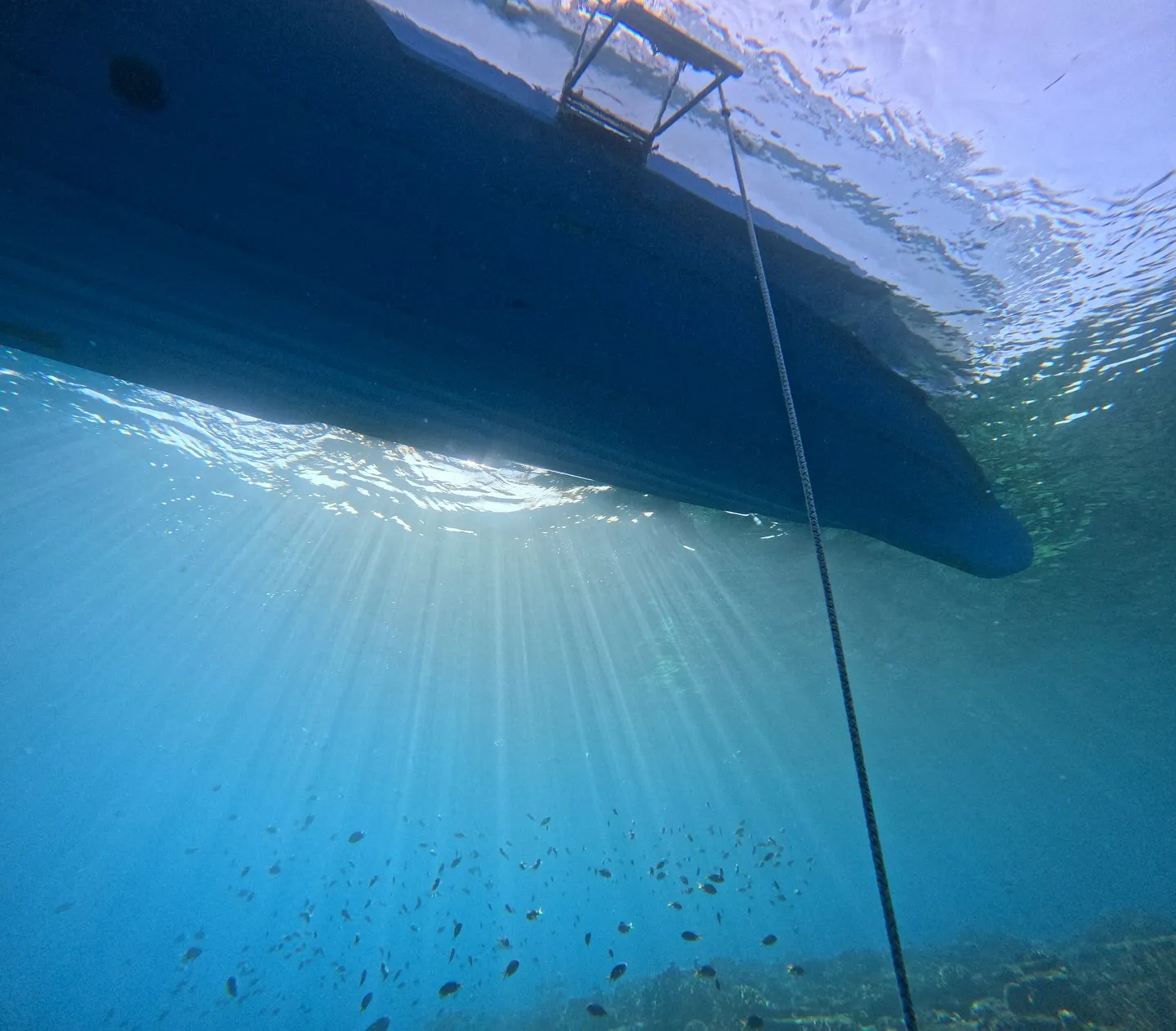 水納島ダイビング