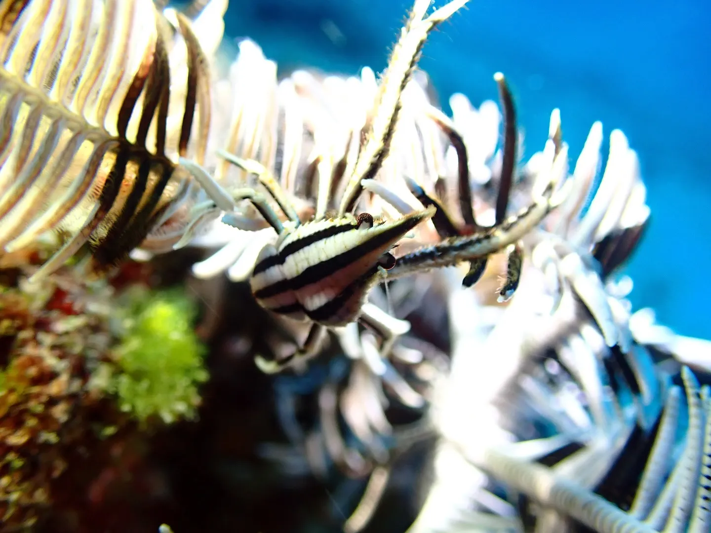 先日は新しいエリアの開拓で