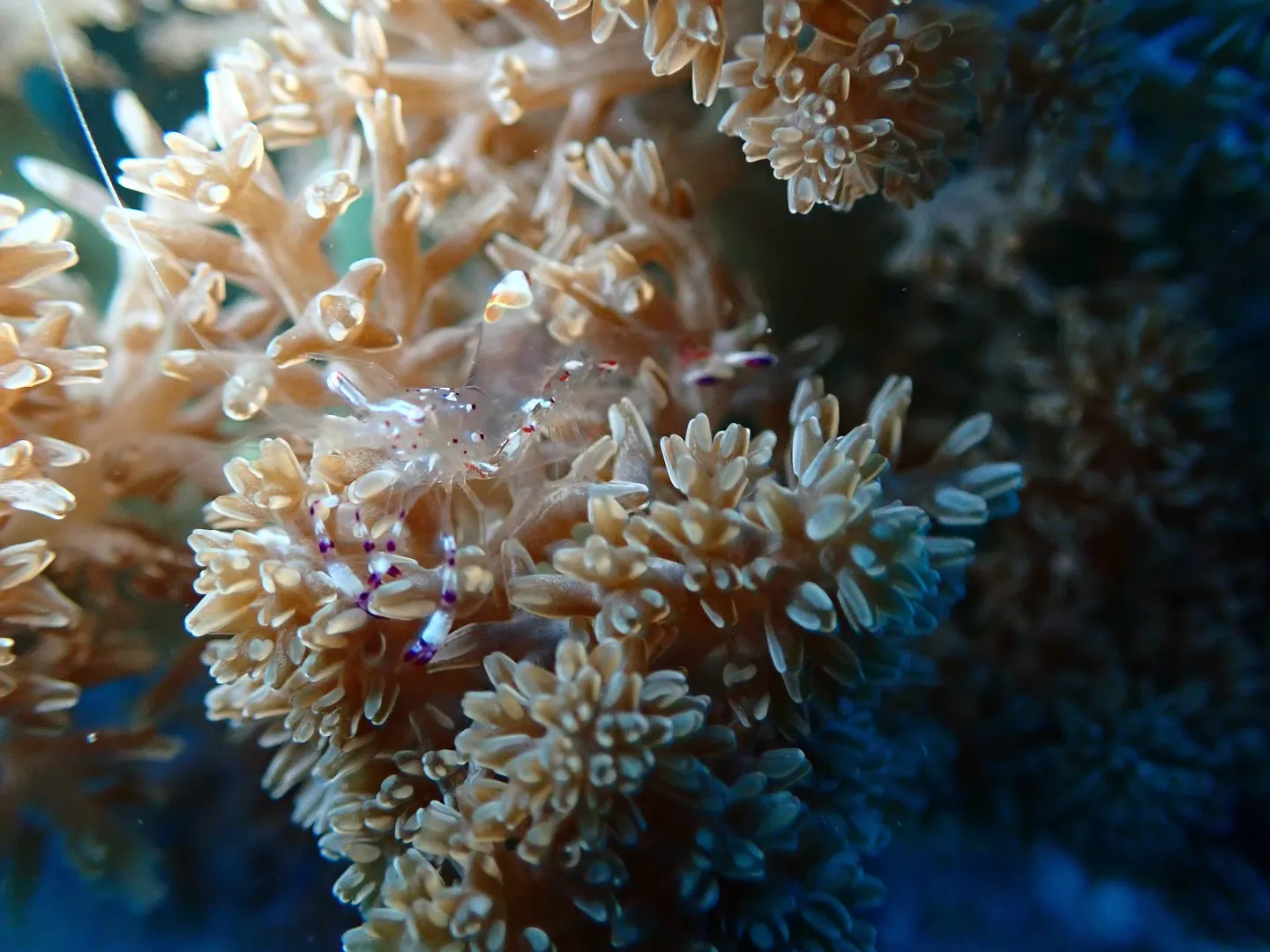 先日は新しいエリアの開拓で