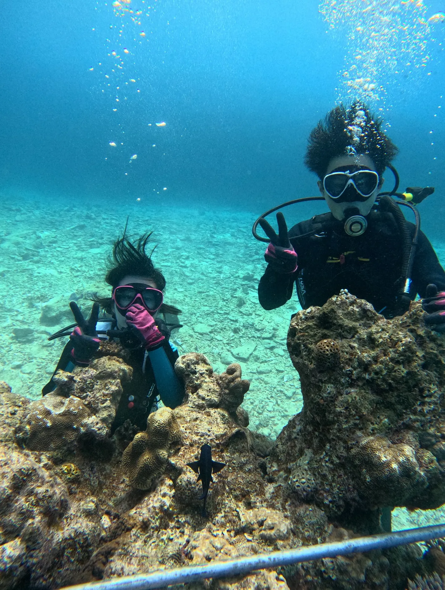 瀬底島ダイビング