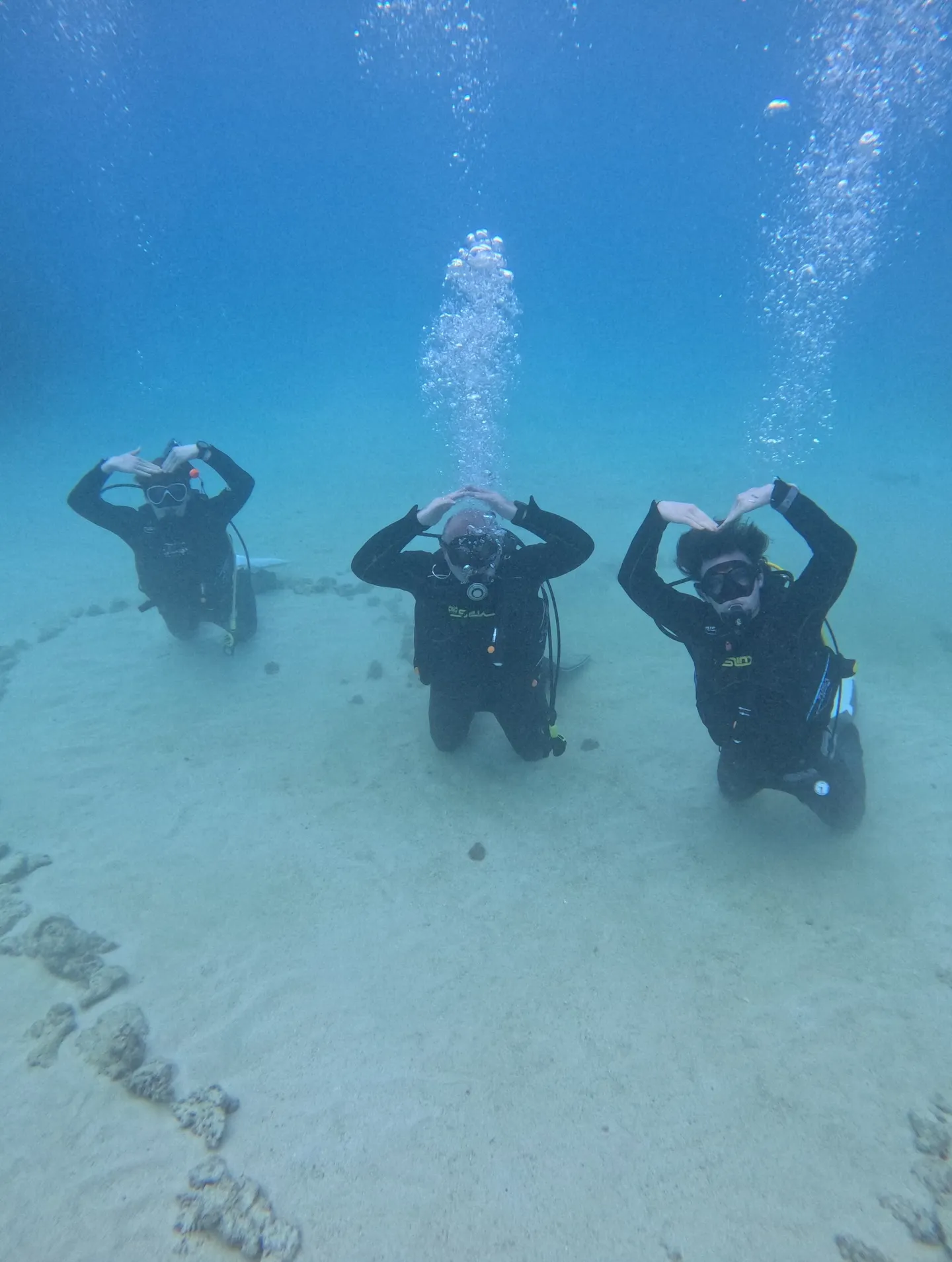 ゴリラチョップダイビング